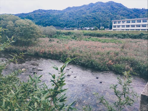 高校の裏を流れる佐波川