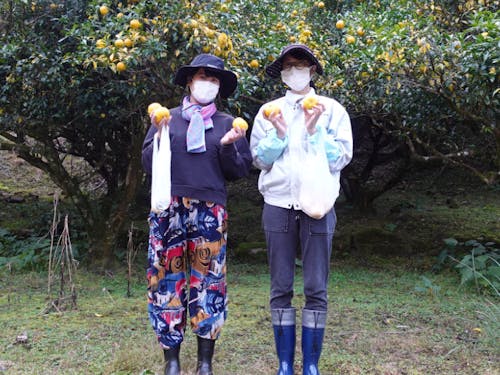 ゆずには鋭いとげがあるので、対策は万全にして行きましょう。