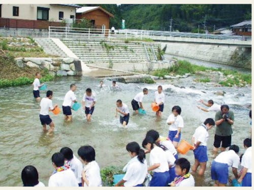ヤマメの放流活動