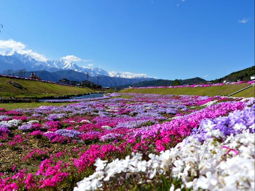 ふぉとじぇにっくな風景がいっぱい!四季を通してカメラ好きにはたまりません!