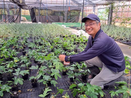 育苗ハウスでの苗管理