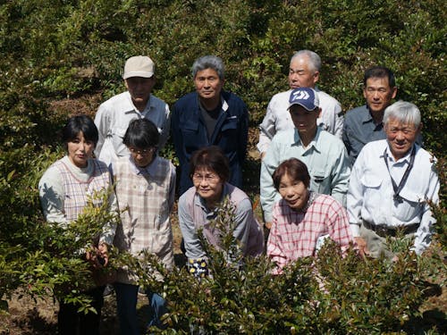 根占樒生産組合の皆さん