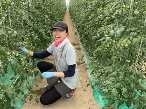 農業ワーキングホリデーに参加して地域を学ぼう!