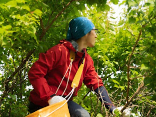 島の仕事に取り組む島留学生の様子
