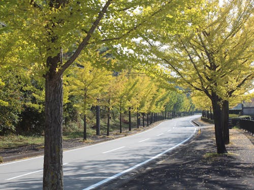 京丹波町の景観