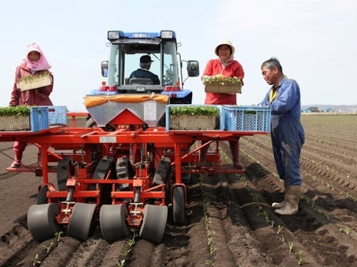 法人農家の作業風景