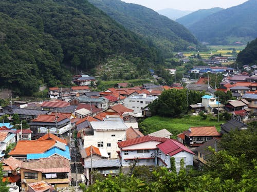 高台から望む湯町地区