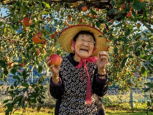 徳佐りんご組合は西日本一のリンゴ園です