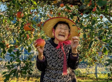 徳佐りんご組合は西日本一のリンゴ園です