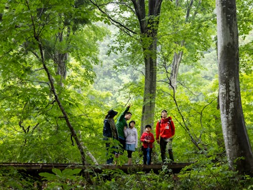 なべくら高原は森林セラピー基地に認定されています