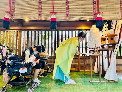 ペット祈願の様子