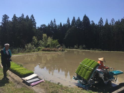 高齢農家に代わって田植えを代行する農作業受託のサービス。農地の遊休化を防ぎ、次の担い手にバトンが渡せるようサポートしています