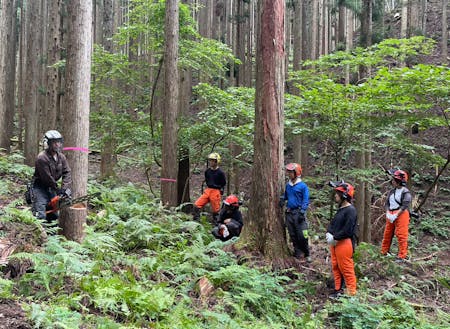 座学と実地でのチェンソーの取り扱いを学びます