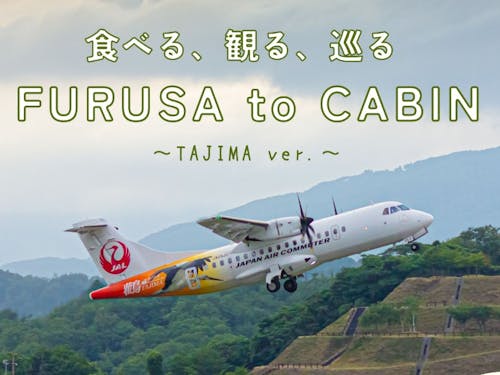 コウノトリのラッピングを施した航空機も但馬の空を飛んでいます!