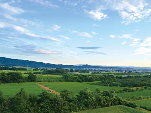 干し柿などでも有名な南砺市立野原