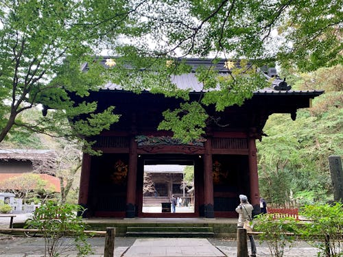 鎌倉の妙本寺(お気に入り)