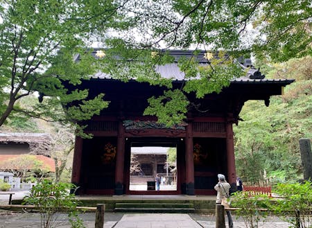 鎌倉の妙本寺（お気に入り）