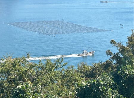 漁船と比べると網の広さがよくわかります。