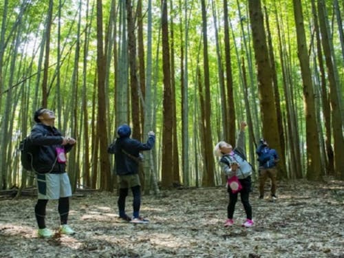 竹林の中も歩きます
