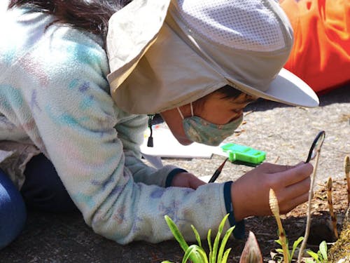 自然のなかで感性を育みます