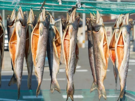 大槌町は、実は「新巻鮭」の発祥の地。このような魅力的な地域資源がたくさんある町です。