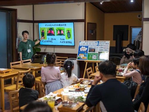 蛍観察ツアーも開催中!