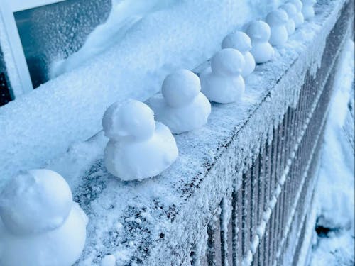 雪の楽しさは無限大