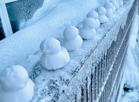 雪の楽しさは無限大