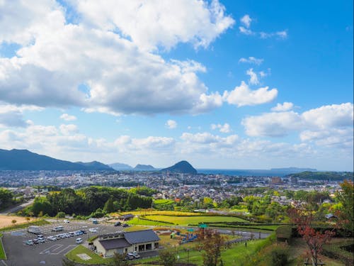 陶芸の村公園から萩市中心部を一望できます。