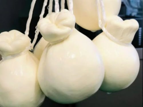 ハルパルのチーズ