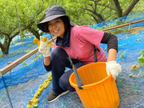 夏は北海道、冬は沖永良部島で援農