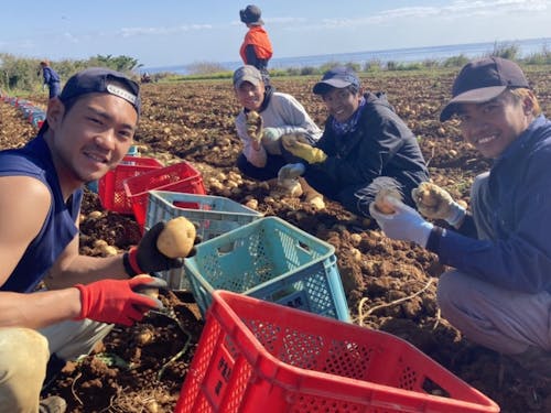 仲間と一緒にじゃがいもの掘り取り作業で汗を流す