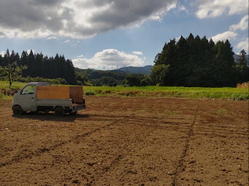 圃場で堆肥を散布している様子