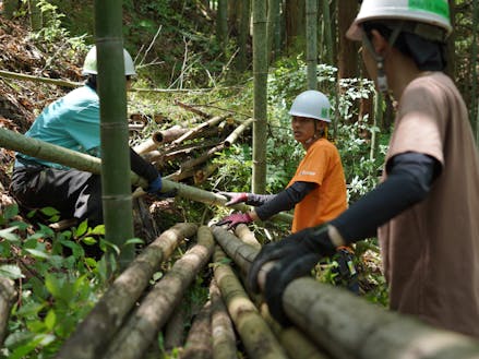若者とも一緒に取組み、竹の運び出しや伐採を行います