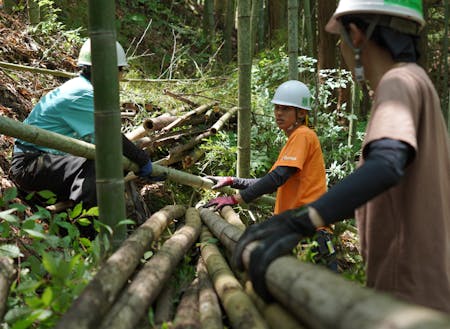 若者とも一緒に取組み、竹の運び出しや伐採を行います
