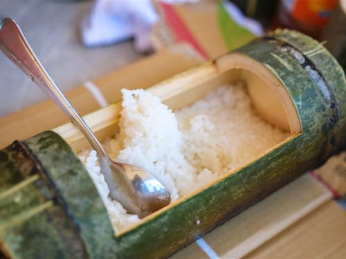 「美味しく食べて竹林整備」ランチにも竹を利用します