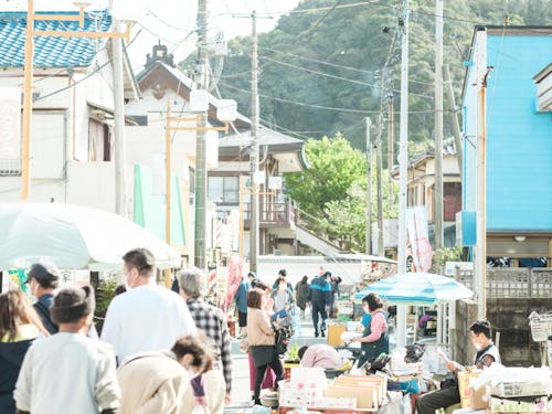 勝浦朝市で地元の海の幸・山の幸と巡り合い、地域とのつながりができます