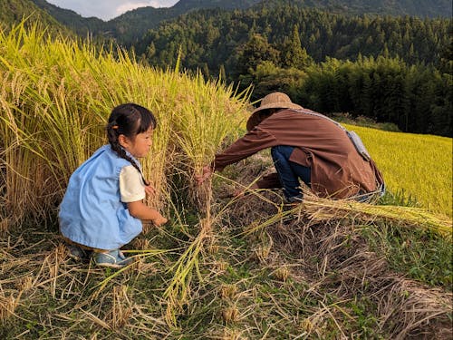 絵に書いたような田舎のワンシーンがまだまだ残ってます