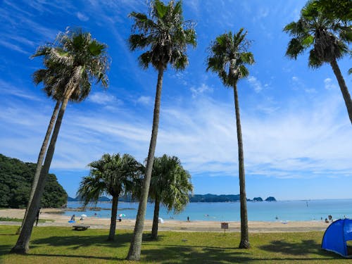 大人気の下阿蘇ビーチ。南国ムード満点です!