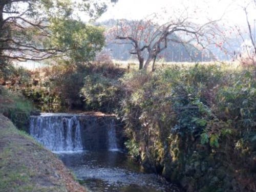 美しい水は、山からの恵み