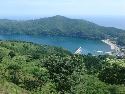 島の緑豊かな森林と青い海の風景を未来に繋ぐ仲間を募集