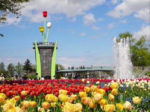 チューリップタワー(砺波市)