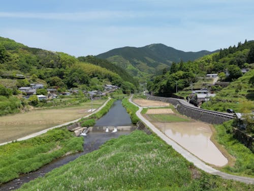 黒潮町の里山の風景