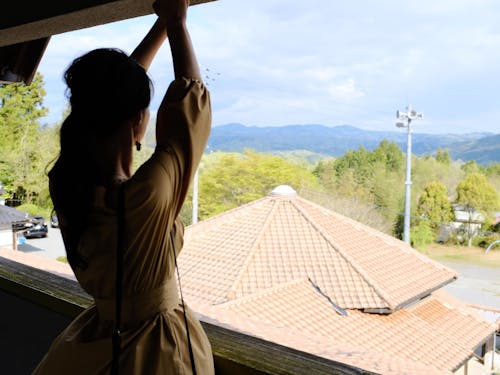 屋上からの眺め