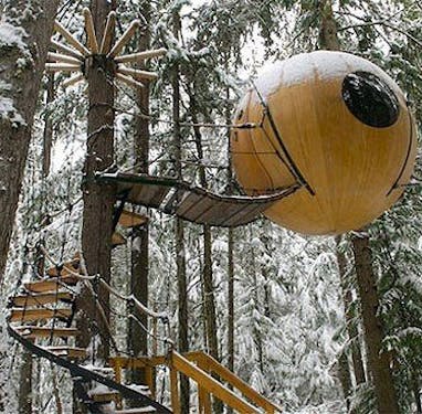 今後はこういうTreehouseも計画しています。