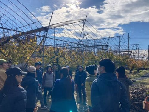 栽培の大変さやこだわり、リンゴの魅力をたっぷりお聞きします