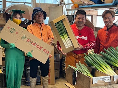 箱に入れて出荷