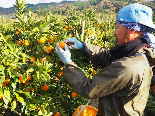 和歌山の自然と生きる仕事