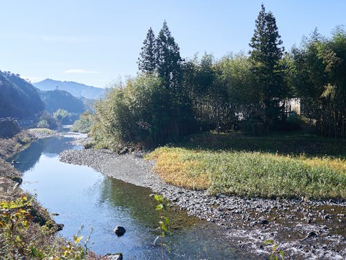 大野見地域は四万十川の源流域。絶好のアウトドアフィールド!