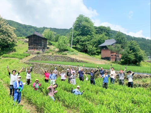 地域内外の人でみょうが畑を復活させるプロジェクトを実施